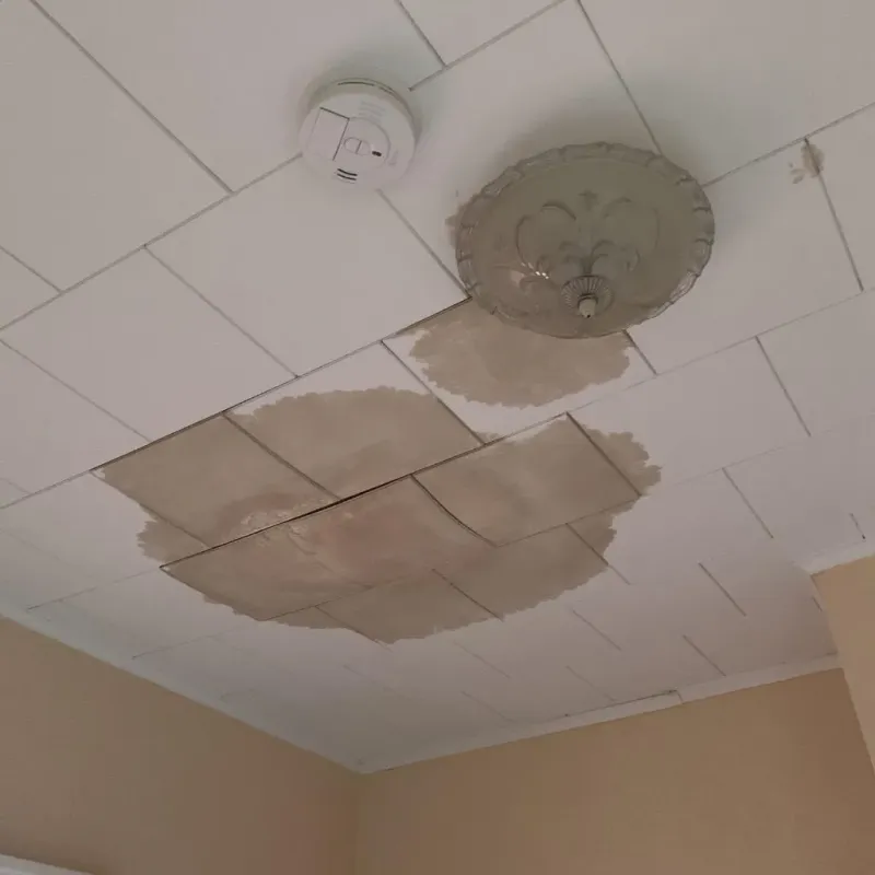 Ceiling Water Damage Repair in Hutto, TX