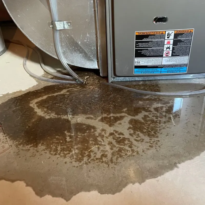 Pipe Burst and Leak Restoration in Hutto, TX
